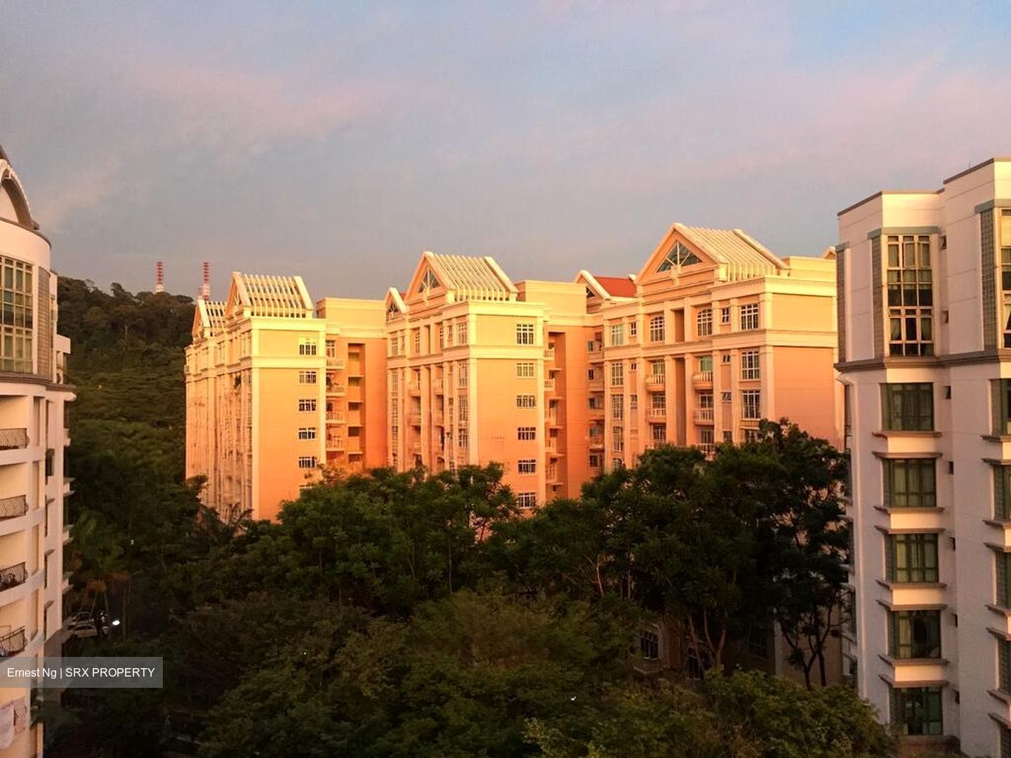 Parc Palais (D21), Condominium #496093161